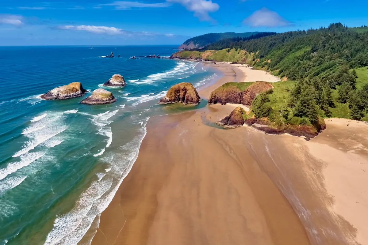 A sweeping coastal exterior scene showing waves crashing onto a sandy beach, rock formations, and lush green hills. The untamed beauty of the Oregon Coast is on full display, inviting exploration and adventure.